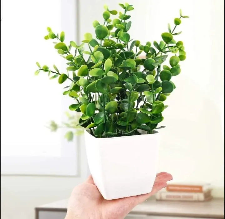 1 Pc Planter Pot