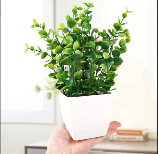 1 Pc Planter Pot